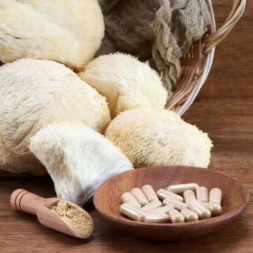 Discover the Benefits of Lions Mane in Traditional Chinese Medicine - Lift Up Clothing LLC