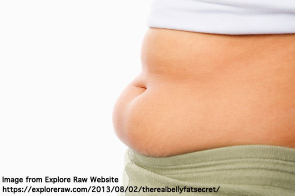 Lift Up Clothing: How To Lose Body Fat Banner